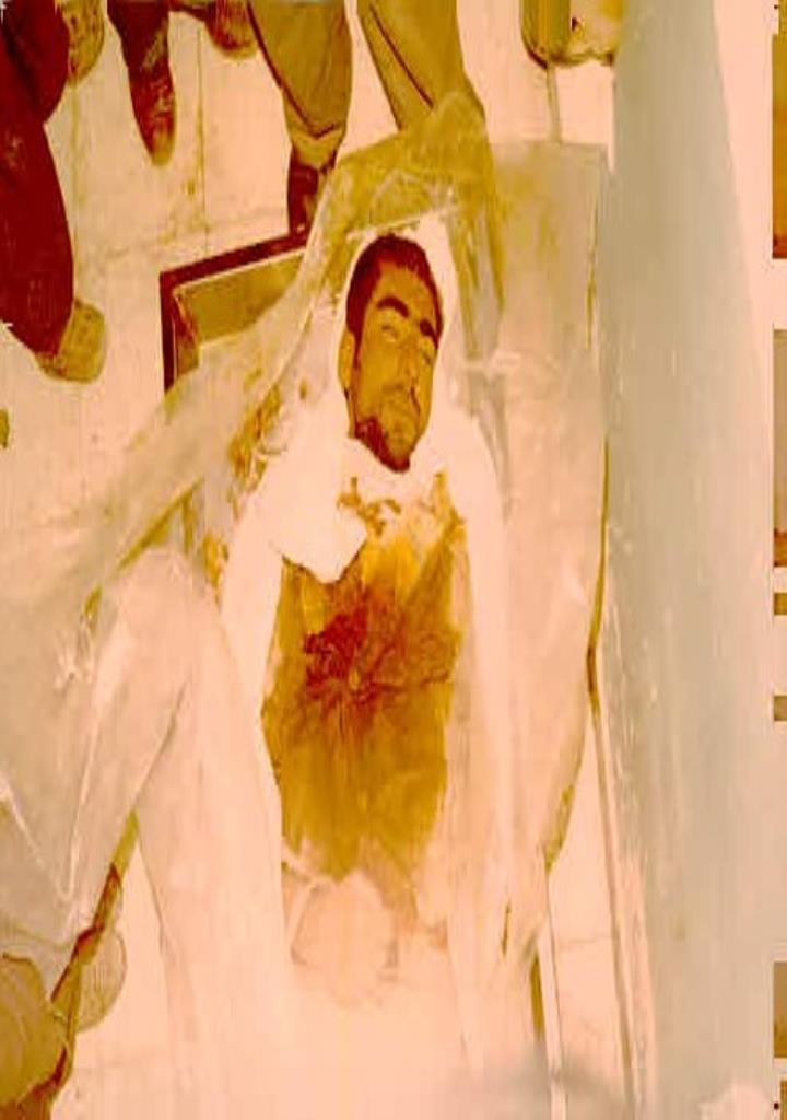 فاقد تصویر